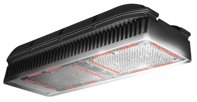 Wega Dual Channel